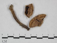 登錄號:F0023533藏品圖，第3張