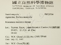 登錄號:F0023534藏品圖，第2張