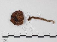 登錄號:F0023535藏品圖，第1張