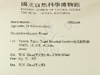 登錄號:F0023536藏品圖，第2張