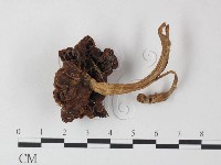 登錄號:F0023536藏品圖，第3張