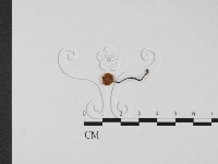 登錄號:F0023537藏品圖，第3張