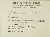 登錄號:F0023539藏品圖，第2張