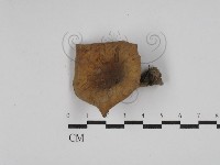 登錄號:F0023542藏品圖，第1張