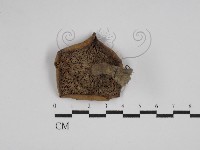 登錄號:F0023542藏品圖，第3張