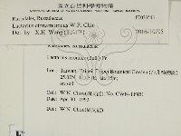 登錄號:F0023543藏品圖，第2張