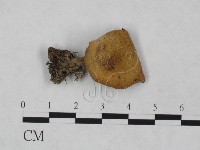 登錄號:F0023543藏品圖，第3張