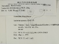登錄號:F0023544藏品圖，第2張