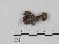 登錄號:F0023544藏品圖，第3張