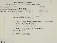 登錄號:F0023545藏品圖，第2張