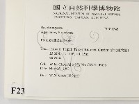 登錄號:F0023546藏品圖，第2張