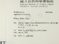 登錄號:F0023548藏品圖，第2張