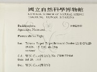 登錄號:F0023549藏品圖，第2張