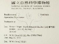 登錄號:F0023550藏品圖，第2張