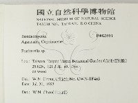 登錄號:F0023551藏品圖，第2張