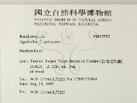 登錄號:F0023552藏品圖，第2張