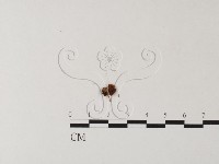 登錄號:F0023552藏品圖，第3張