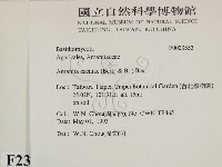 登錄號:F0023553藏品圖，第2張