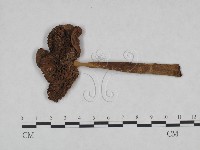 登錄號:F0023553藏品圖，第1張