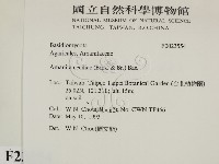 登錄號:F0023554藏品圖，第2張