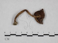 登錄號:F0023554藏品圖，第3張