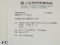 登錄號:F0023555藏品圖，第2張