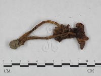 登錄號:F0023555藏品圖，第3張