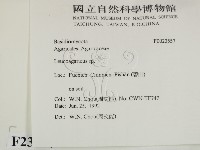 登錄號:F0023557藏品圖，第2張