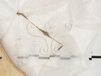 登錄號:F0023558藏品圖，第1張