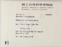 登錄號:F0023559藏品圖，第2張
