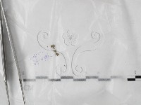 登錄號:F0023560藏品圖，第1張