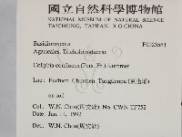 登錄號:F0023561藏品圖，第2張