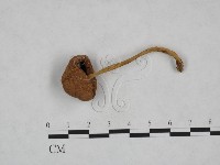 登錄號:F0023561藏品圖，第1張
