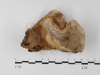 登錄號:F0023563藏品圖，第3張