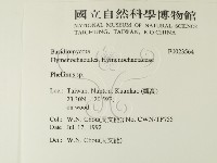 木層孔菌屬藏品圖，第2張