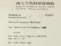 登錄號:F0023565藏品圖，第2張