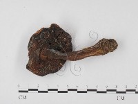 登錄號:F0023565藏品圖，第1張