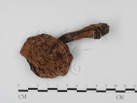 登錄號:F0023565藏品圖，第3張