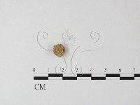 登錄號:F0023566藏品圖，第1張