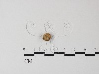 登錄號:F0023566藏品圖，第3張