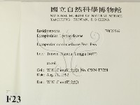 登錄號:F0023567藏品圖，第2張