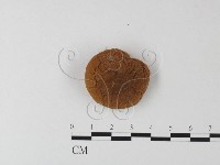 登錄號:F0023567藏品圖，第3張