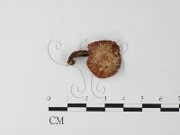 登錄號:F0023568藏品圖，第1張