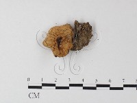 登錄號:F0023569藏品圖，第3張