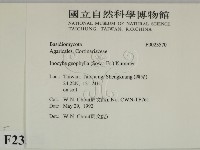 登錄號:F0023570藏品圖，第2張