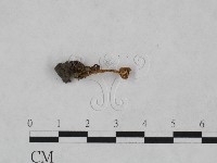 登錄號:F0023570藏品圖，第3張