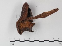 登錄號:F0023571藏品圖，第1張