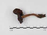 登錄號:F0023572藏品圖，第3張