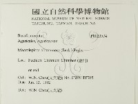 登錄號:F0023574藏品圖，第2張