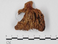 登錄號:F0023574藏品圖，第1張